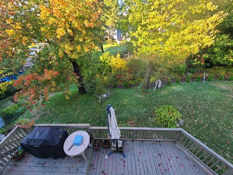 back yard - 55 Newport Ave