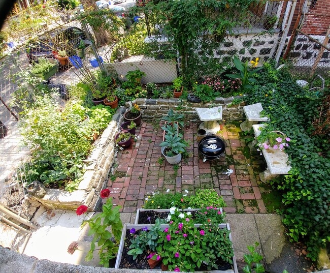 Private backyard space - 401 S 51st St