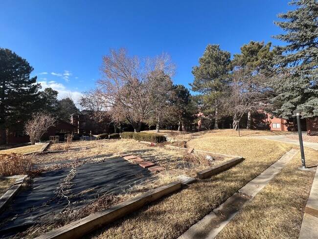 Building Photo - 2450 Palmer Park Blvd