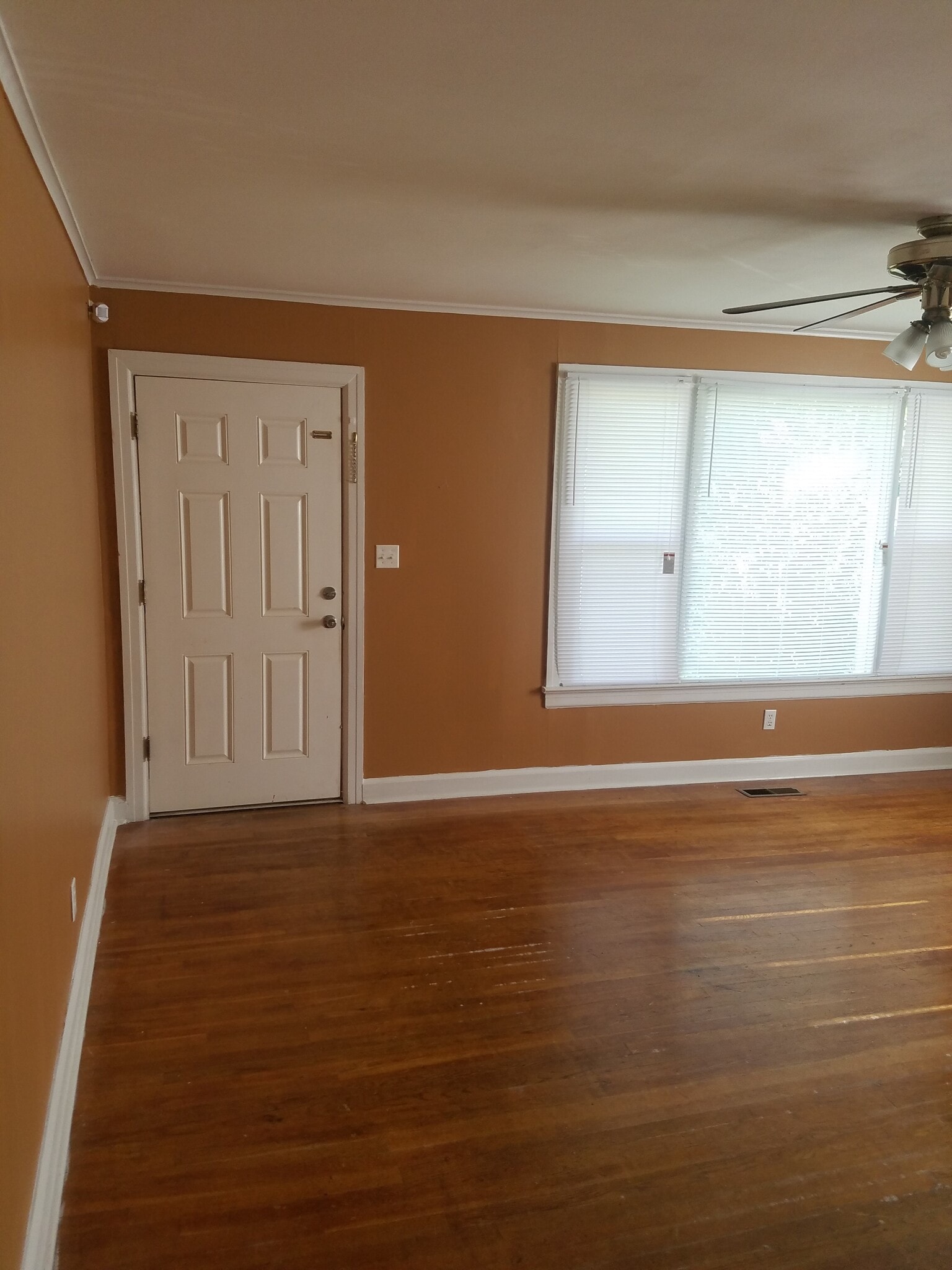 Living Room - 1908 Nelle St
