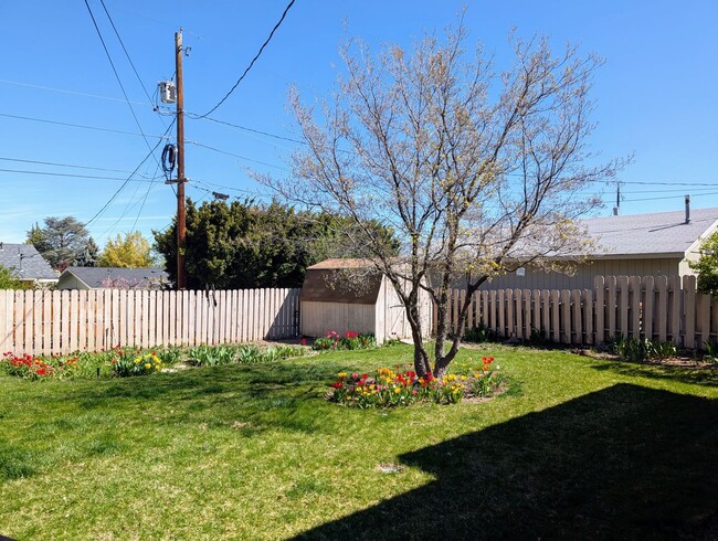 Building Photo - Over Sized 3-Bed, 2.5-Bath SFH w/ 2-Car Garage, & Fenced Backyard!