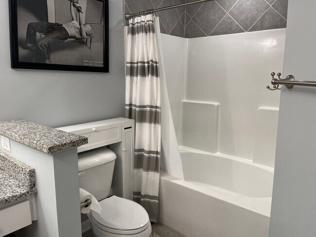 Building Photo - Remodeled 2 Bedroom, 2 Bath Furnished Cond...