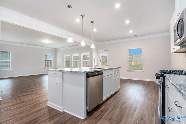 Building Photo - 16879 Hollings Trl NW