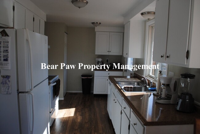 Building Photo - Cute home in Conifer!