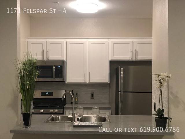 Primary Photo - 1171 Felspar St