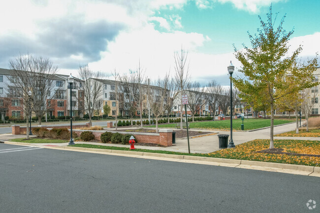 SV - The Metropolian at Village at Leesburg Phase2