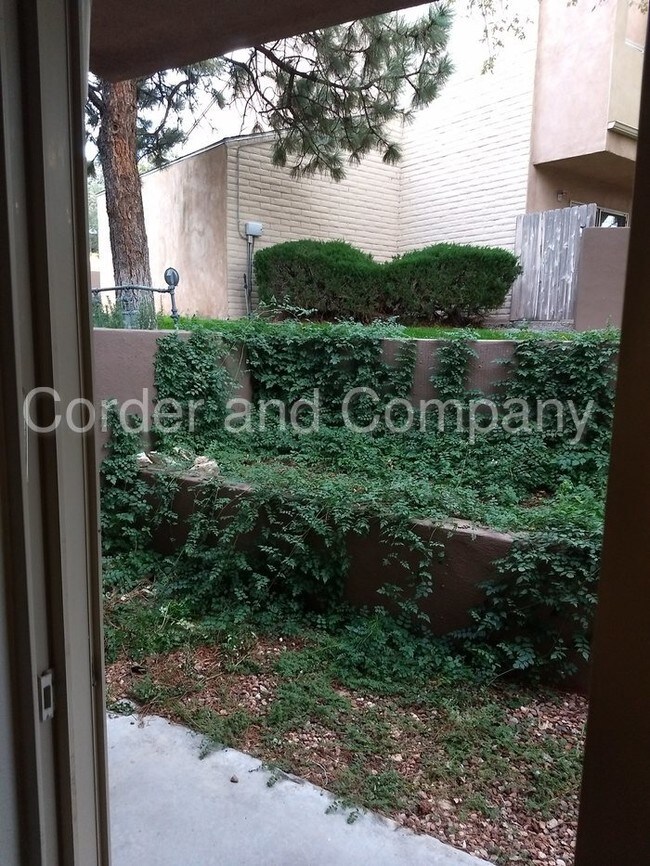 Building Photo - Available Now ! At The Pointe Condominiums