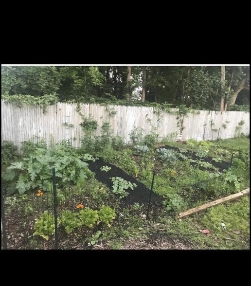 Organic garden - 91 S Penataquit Ave