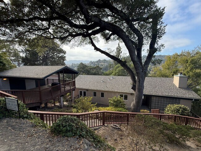 Building Photo - UNIQUE THREE BEDROOM TWO BATH MODERNIST MILL VALLEY HOME