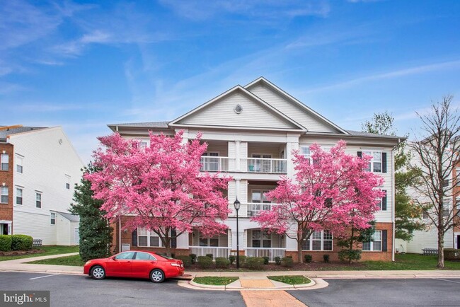 Primary Photo - 42480 Rockrose Square