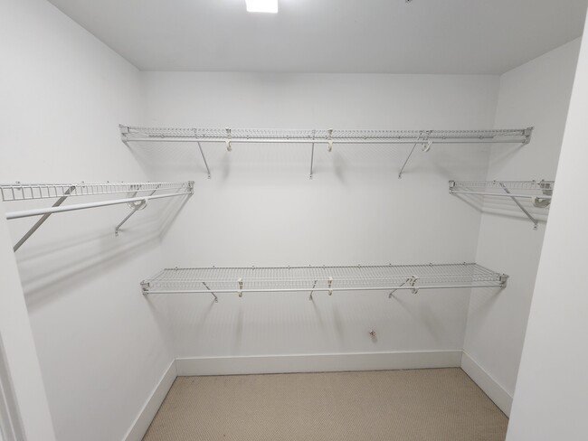 Massive walk-in closet off ensuite with double door entry - 444 S Blount St