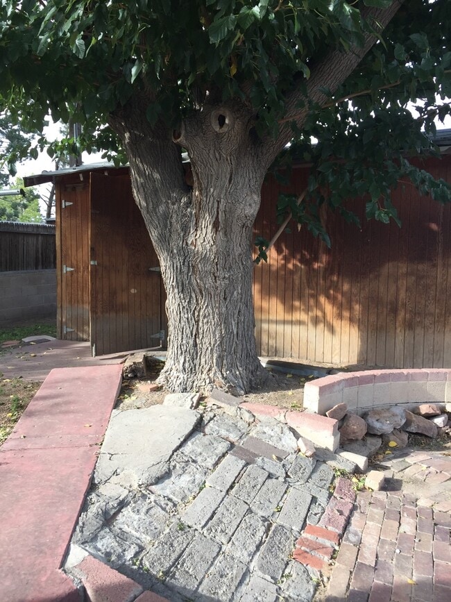 Building Photo - WATSON ADOBE 3 Bedroom 2 Bath 1350/SF