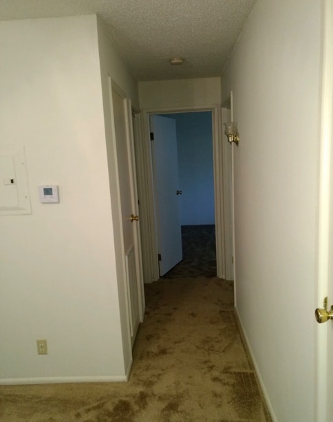 Building Photo - 32 Woodglen Apartment