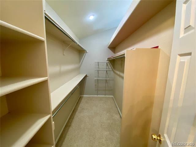 Building Photo - 8408 Blackgum St