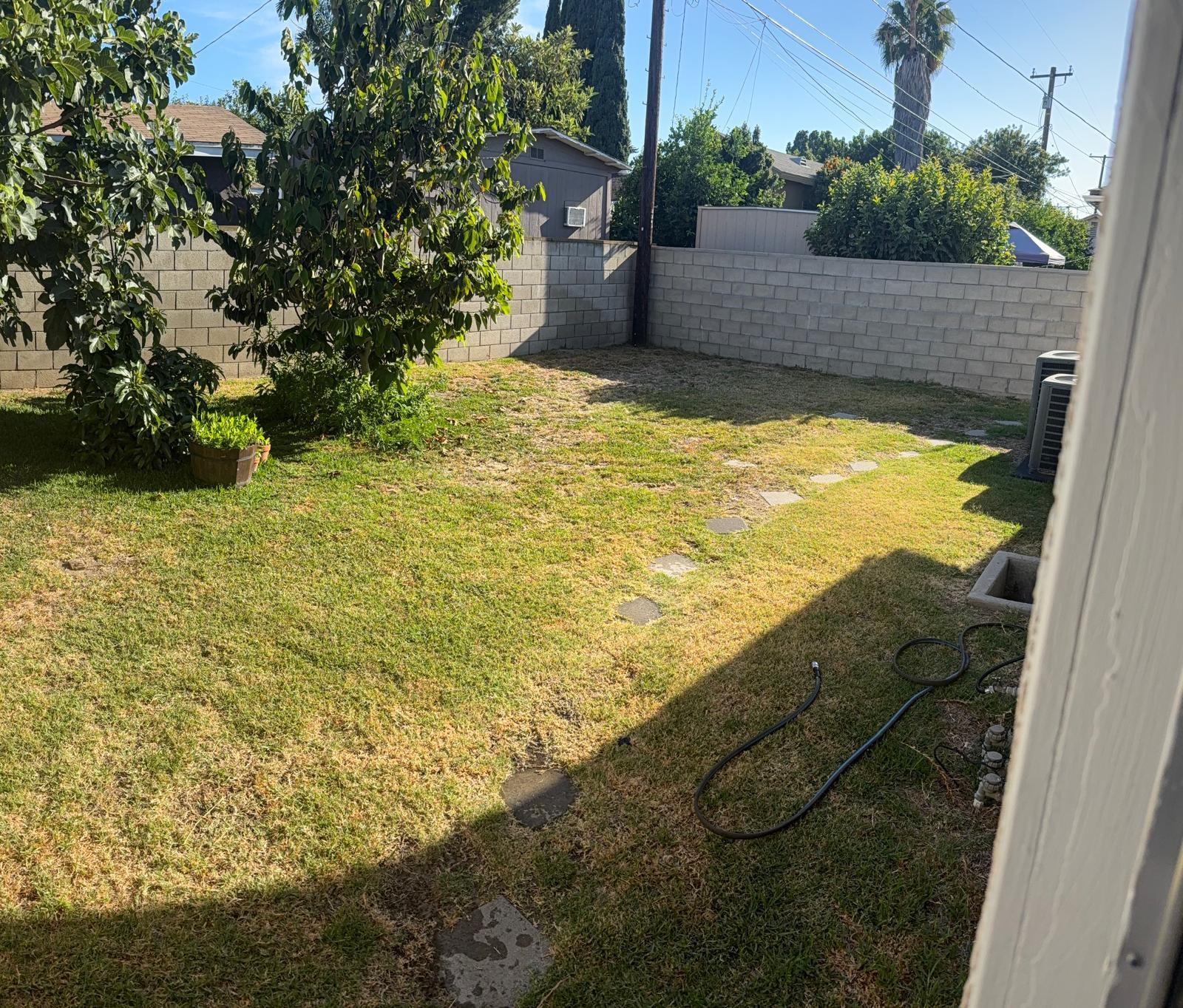 Backyard - 11456 Mclaren St