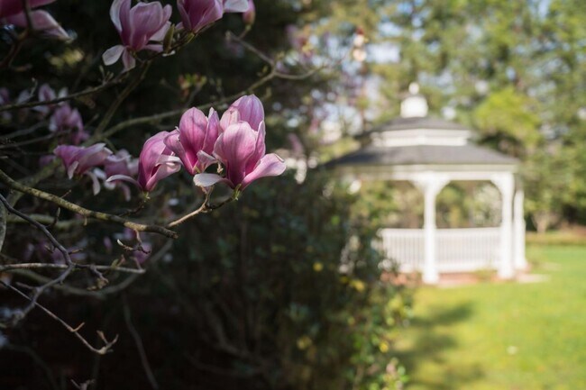 Building Photo - 10 Meadow Ln