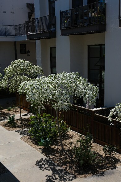 Building Photo - 925 The Alameda