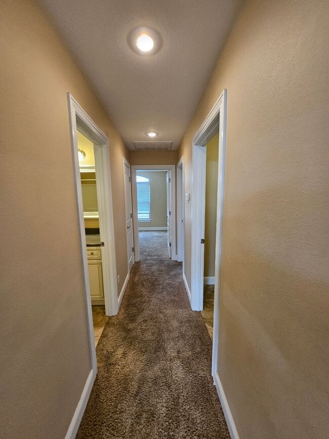 Building Photo - 3 Bedroom 2 Bath 2 Car Garage House.  Walking Distance to the Medical School