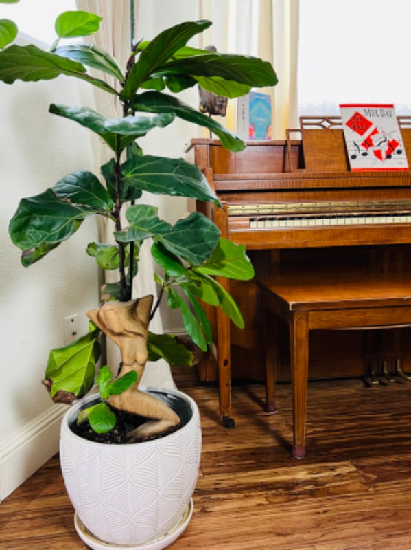 Building Photo - 211 Norton St