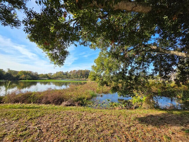 Building Photo - Furnished 2-Bedroom, 2-Bathroom Condo in Tampa