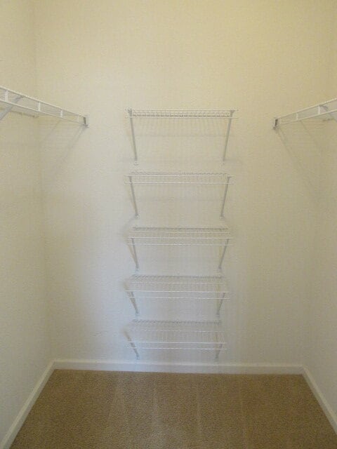 Building Photo - NEW CARPET NEW PAINT!! Clean and Bright 2BR 2BTH Condo Close To DIA. Gated Community in First Cre...