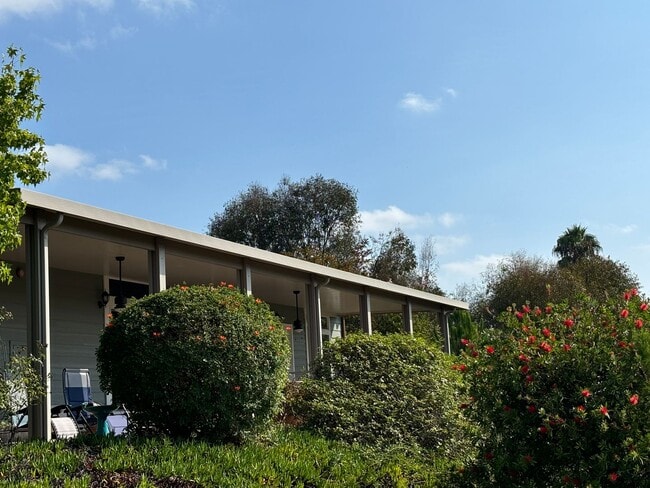 Building Photo - GORGEOUS OPEN VIEW HILLTOP OASIS HOME - COOL OCEAN BREEZE