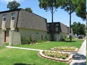 Pines - The Pines Apartments