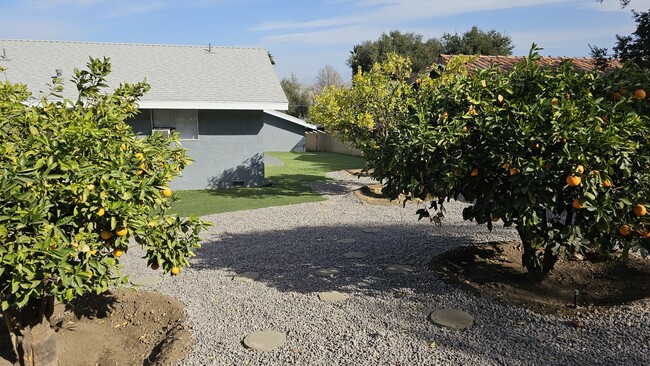 Building Photo - 33237 Lookout Cir