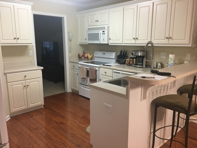 kitchen, completely furnished - 1243 Carriage Dr