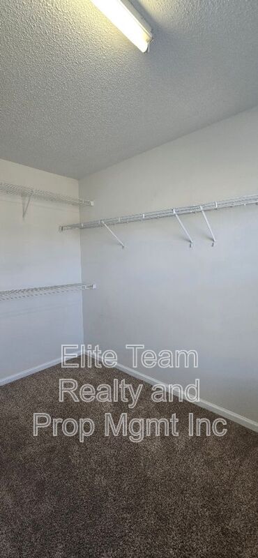 Building Photo - 14109 Southbridge Forest Dr