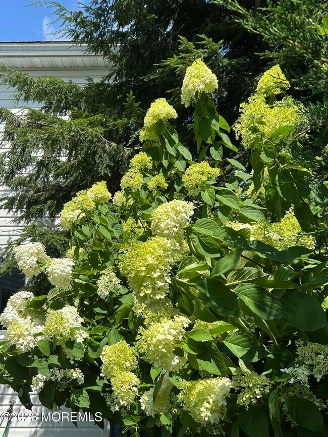 Building Photo - 82 3rd St