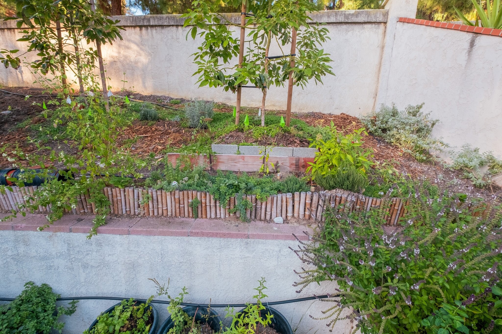 Building Photo - 670 Alagria Pl