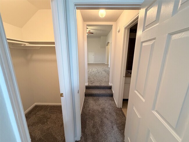Building Photo - 17407 S Sienna Cove Ln