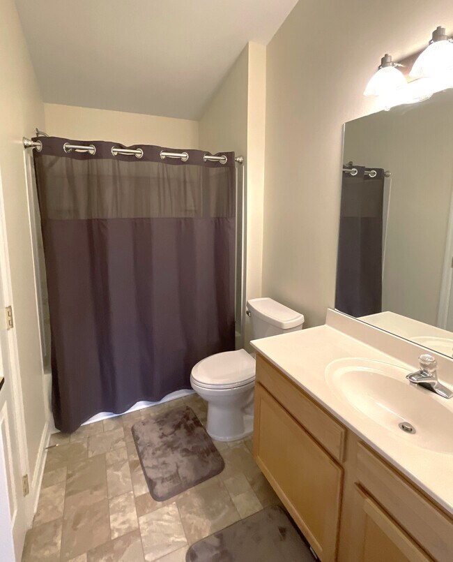 Master bathroom - 350 Hidden Ridge Ct