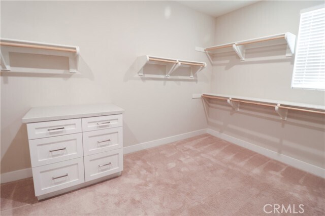 Building Photo - 73 Cartwheel