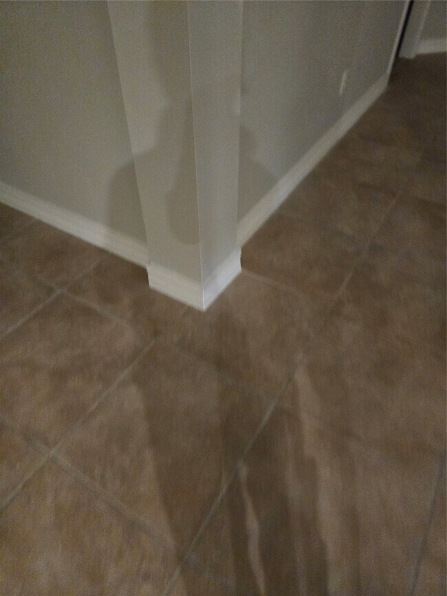 Building Photo - 3910 Champion Creek Ln