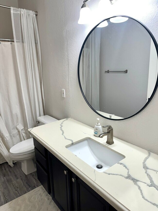 Building Photo - Gorgeous remodel update! No neighbors behind hillside lot
