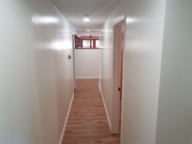 Building Photo - 4 Bedroom Mid-Century Classic Fullerton Ho...