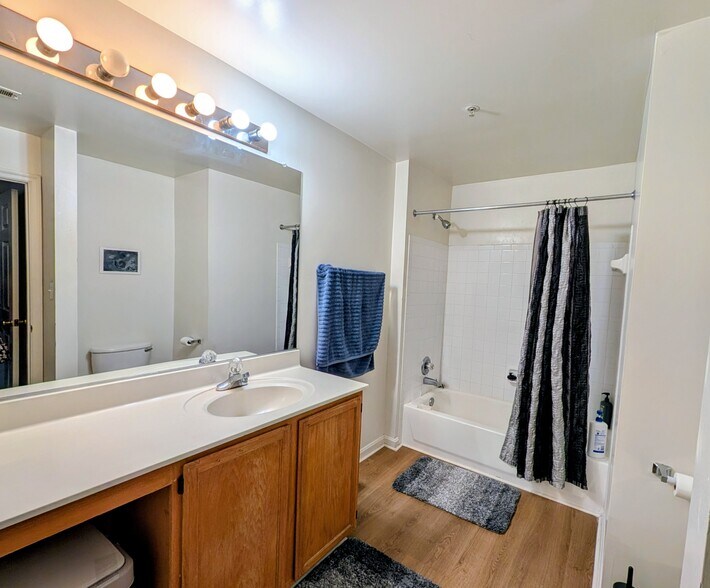 Bathroom 1 - 9810 Leatherfern Ter