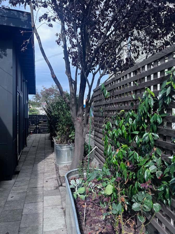 Building Photo - 6235 San Pablo Ave