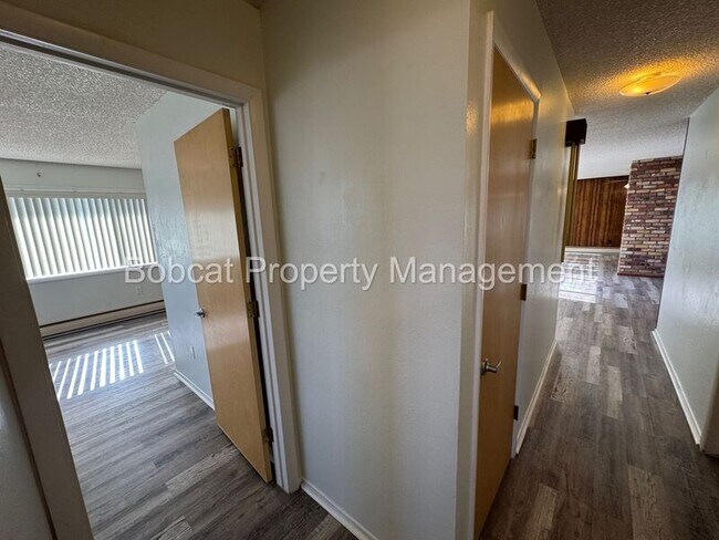 Building Photo - 5229 Silver Sage Dr