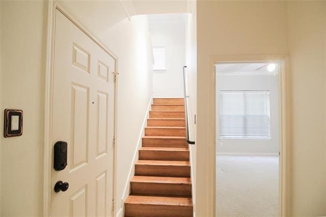 Building Photo - 5014 Calloway Dr