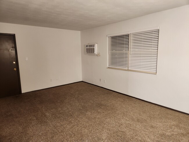 Large living room windows w/faux wood blinds - 212 N 44th St