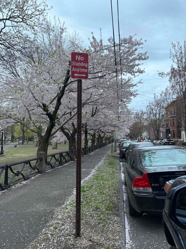 Building Photo - 40 Academy St