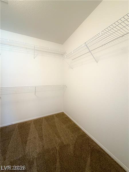 Building Photo - 9031 Spring Star Ct