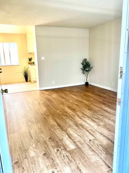 Living - 369 palm ave