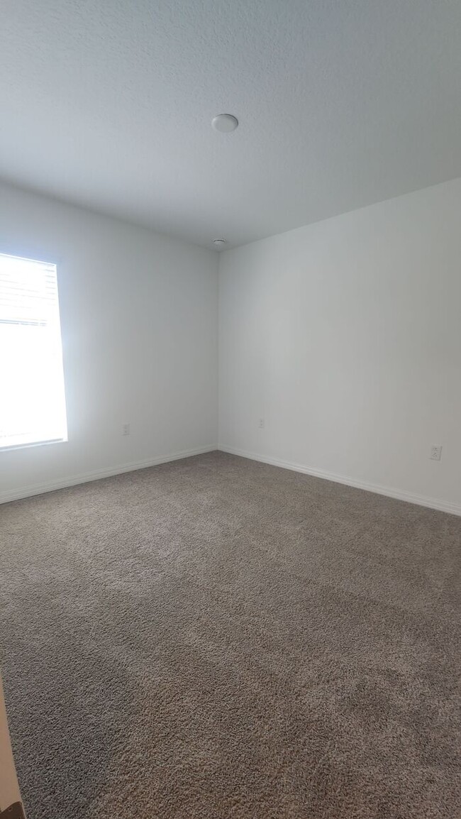 Building Photo - Spacious 3 bed, 2 bath Palm Coast Home min...
