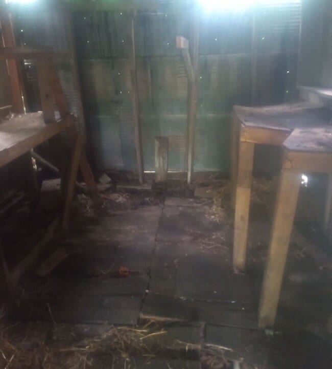 Building Photo - 3-BEDROOMS! - $390 Month / $600 Down
