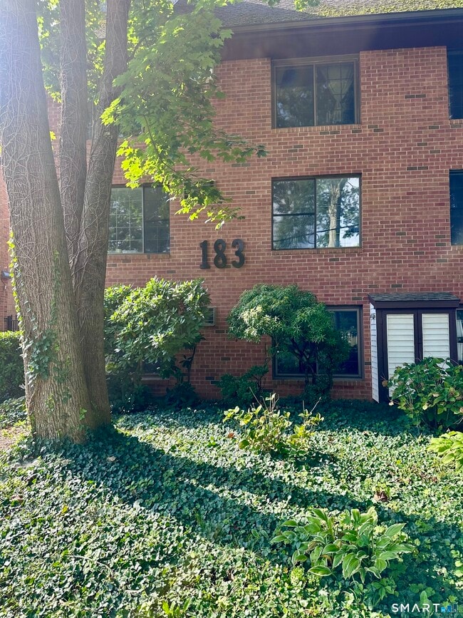 Building Photo - 183 Loomis Dr