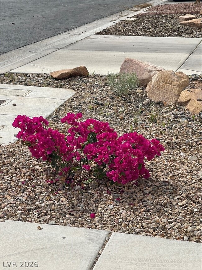 Building Photo - 7127 Brassica Ct